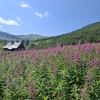 26_zakopane_128.jpg